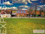 4,6 ha Bauernhof zwischen Harz und Weser - Einbeck