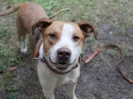 Maxi Beschreibung folgt - Neuhausen (Spree)