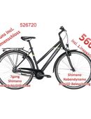 Neue❗ Pegasus Avanti 28" Damenräder Trapez 7 / 18 gang  ab 410€ in 52525