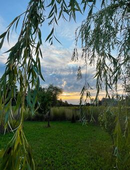 Suche Sie ……. - Falkenberg (Brandenburg)
