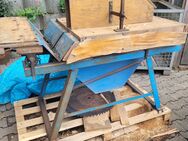 Elektrische Holzsäge - Boxberg (Baden-Württemberg)