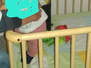 Laufgitter mit Rollen, Laufstall Marke Bellami Plus (NEU 169 €) - Altdorf (Nürnberg)
