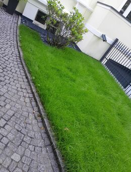 Rollrasen legen Ich mache Ihren Garten schön - Hamburg Wandsbek