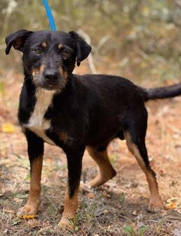 Scribbles - war alleine unterwegs - Berlin