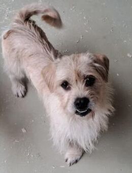 OFFICE TAUT LANGSAM AUF - Nörten-Hardenberg