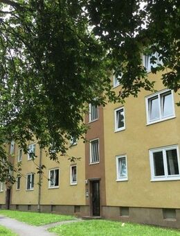 Schöne Wohnung: familienfreundliche 4-Zimmer-Wohnung - Kassel