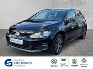 VW Golf, 1.4 TSI VII Allstar LM, Jahr 2016 - Haselünne