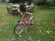 Kinderfahrrad 16 zoll - Westerstede