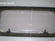 LMC Wohnwagen Fenster 75 x 37 gebraucht (Roxite 80 D401) - Schotten Zentrum