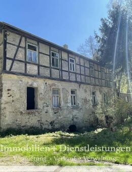 (A1549) Altes Haus, viel Grundstück und Alleinlage - Sanierungsobjekt mit vielen Möglichkeiten - Remptendorf
