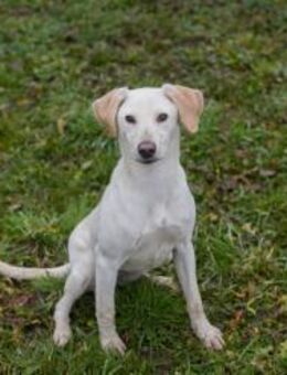 255634 - zusammen jeden Tag erleben - Overath