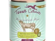 Sparpaket Terra Canis getreidefrei 12 x 800 g - Kalb mit Petersilienwurzel, Mango & Johannisbeere