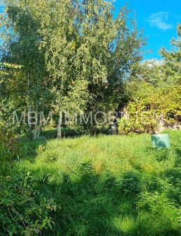 Grundstück mit sanierungsbedürftiger Immobilie in Großpostwitz, Ortsteil Eulowitz - Großpostwitz (Oberlausitz)