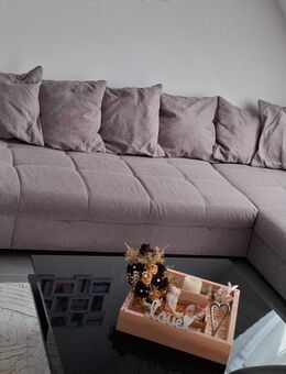 Hellgrau L Couch mit Schlaffunktion - Willanzheim