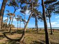 Spontane Wochenendcamper*in gesucht in 04103