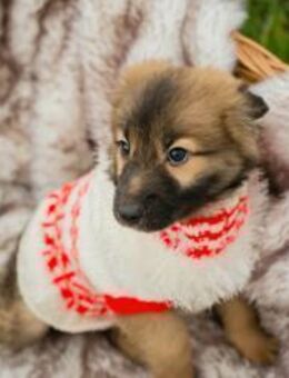 273987 - Familie ist mein größter Traum - Overath