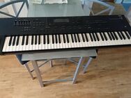 Korg i 2 Keyboard - Unna