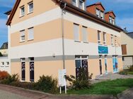 Singles und Studenten aufgepasst!!! Helle 1 - Raumwohnung - Dresden