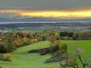 Exclusive 3-Zimmerwohnung mit Panoramablick über den Bodensee und die Schweizer Alpen - Markdorf