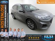 Ford Kuga, 2.5 FHEV Hybrid ST-Line X iACC, Jahr 2023 - Premnitz