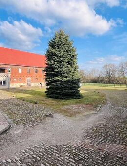 Attraktives Investment: Mehrfamilienhaus mit Nebengebäuden und umfangreichem Bauland - Hohenmölsen