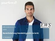 Bereichsleitung Handelslogistik (m/w/d) - Handewitt