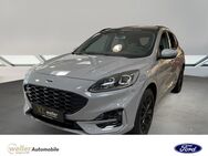 Ford Kuga, 2.5 L Plug-In Hybrid ST-Line X - EU6d Duratec, Jahr 2023 - Bietigheim-Bissingen