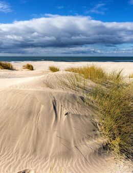 ⛱️ Chalets in Nord- und Südholland - strandnah & mit Hunden 🐕‍🦺 - Rheinberg Zentrum