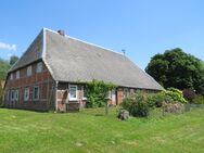 Zweiständer-Fachhallenhaus mit Scheune, Stall, Garage auf einer Wurt in Rassau im Amt Neuhaus in Elbnähe! - Amt Neuhaus