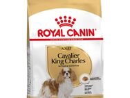 Sparpaket Royal Canin - Cavalier King Charles Adult (2 x 7,5 kg)