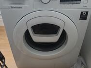 Samsung Waschmaschine 8Kg - Bitterfeld-Wolfen