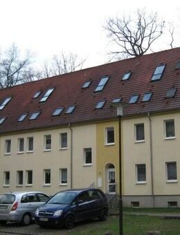 Moderne 3-Zimmer-Wohnung im 1. OG eines Mehrfamilienhauses - Dessau-Roßlau
