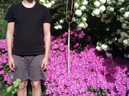 Suche Herzdame - Berlin Marzahn-Hellersdorf