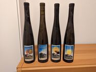 Weine vom Fuldaer Weinberg - Fulda