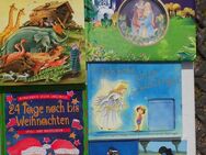 Kinderbücher Jugendbücher 47 Bücher zus. nur 5,- - Flensburg