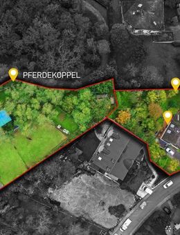 Großzügiges Familienparadies in Bad Kreuznach-Süd - ruhig, optional mit Pferdekoppel - Bad Kreuznach