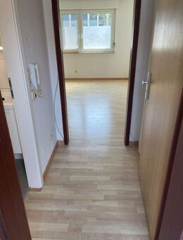 1-Zimmer-Appartement Nähe TU und Schloß - Darmstadt