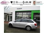 Skoda Octavia, 1.6 TDI Combi, Jahr 2016 - Geldern