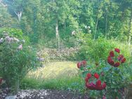 Heisinger Glücksfall: 2 R, 90 m², Wohnküche, Sonnenterrasse, Garten, neues Bad - Essen