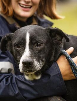 SHERLOCK - aktives Seniorenleben - Overath