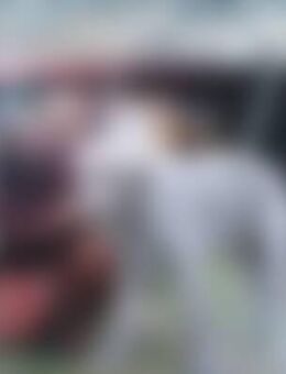 Dis*** - Schnarup-Thumby