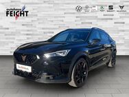 CUPRA Formentor, 2.5 TSI VZ5 BEATS, Jahr 2023 - Haar