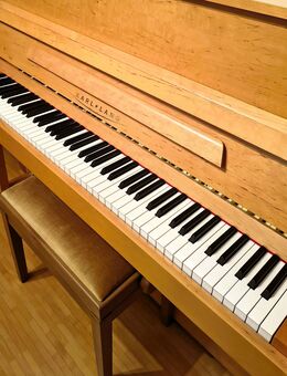 Karl-Lang- Klavier (Steinway & Sons) - Hamburg Hamburg-Nord