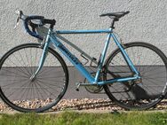 Rennrad Hercules Sensazione Alu RH57 - 9,3kg - Bensheim