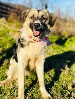 TiLKA wartet auf 1 Zeichen von dir 🙏 - Mylau