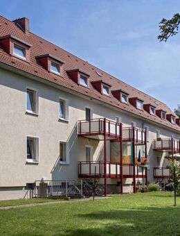 1 ZKB mit Balkon in Herford! NEUER LAMINATBODEN* - Herford (Hansestadt)