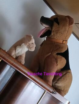 Tausche Hundesitting 4 Tage in meinem Wohnzimmer gegen Garden Parfüm 75 ml neu - Helbra