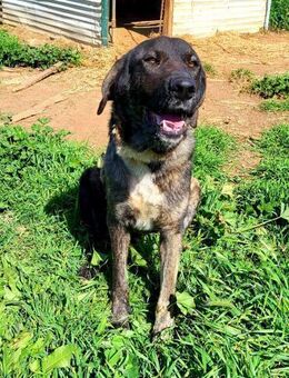 MAYOR sucht das Glück 🍀 - Marienfließ