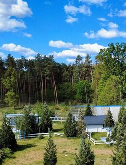 Theeßen: Ferienwohnanlage mit Entwicklungspotenzial - Möckern (Sachsen-Anhalt)