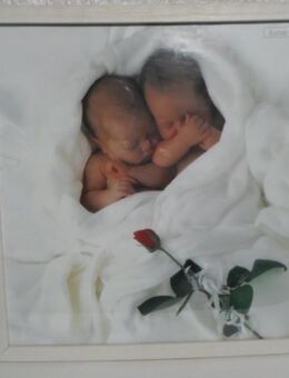 Anne Geddes Poster im Holzrahmen schlafende Babys - Rödermark